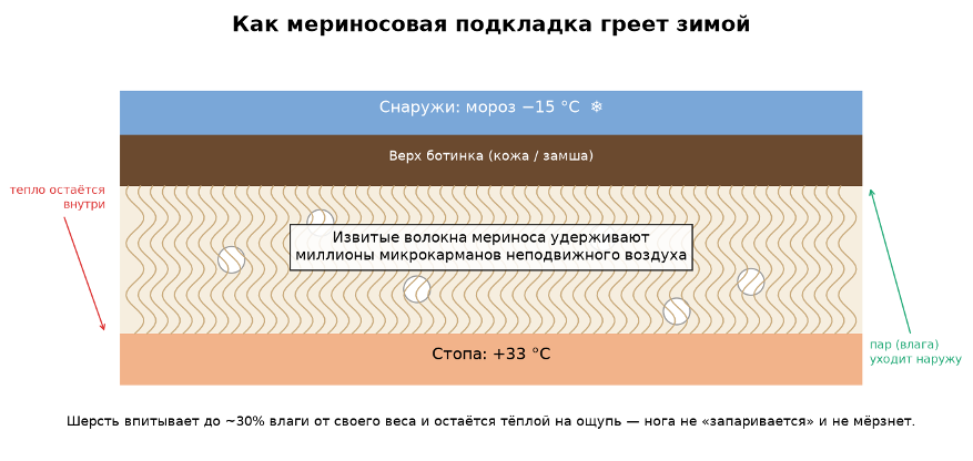 Меринос в подкладке зимней обуви: почему шерстяной мех греет лучше, чем кажется